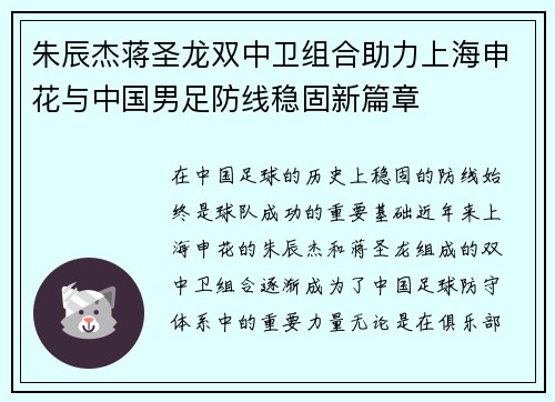 朱辰杰蒋圣龙双中卫组合助力上海申花与中国男足防线稳固新篇章